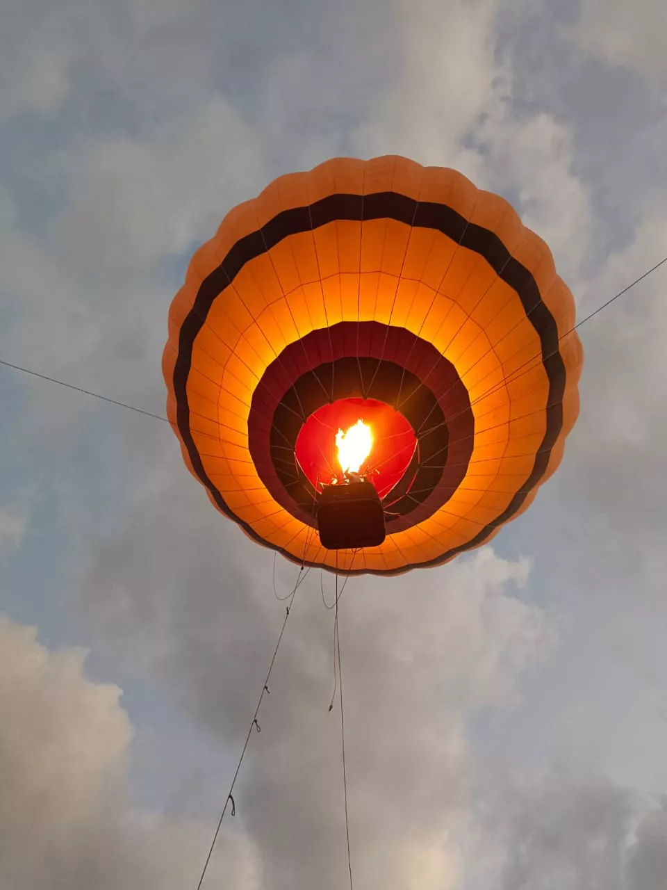 WhatsApp Image 2023-04-09 at 04.03.38