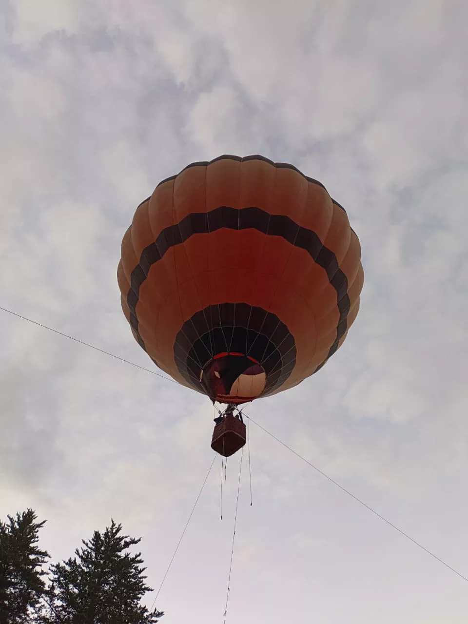 WhatsApp Image 2023-04-09 at 04.03.39