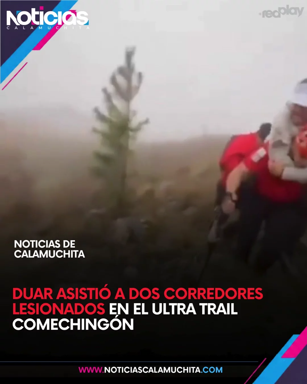 feed noticias