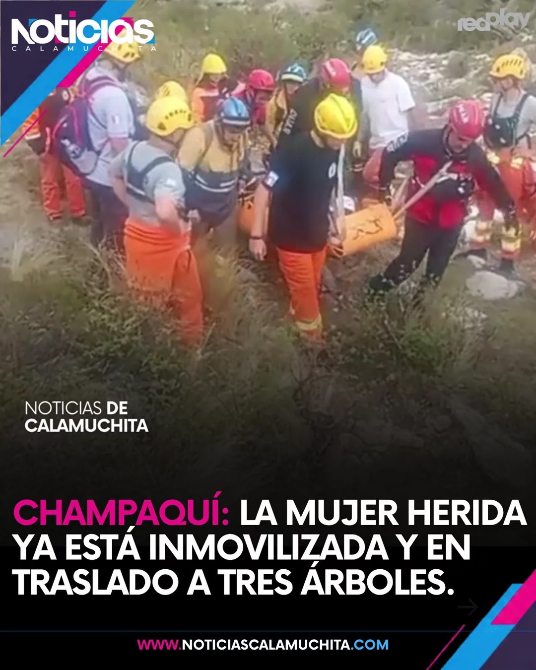 feed noticias