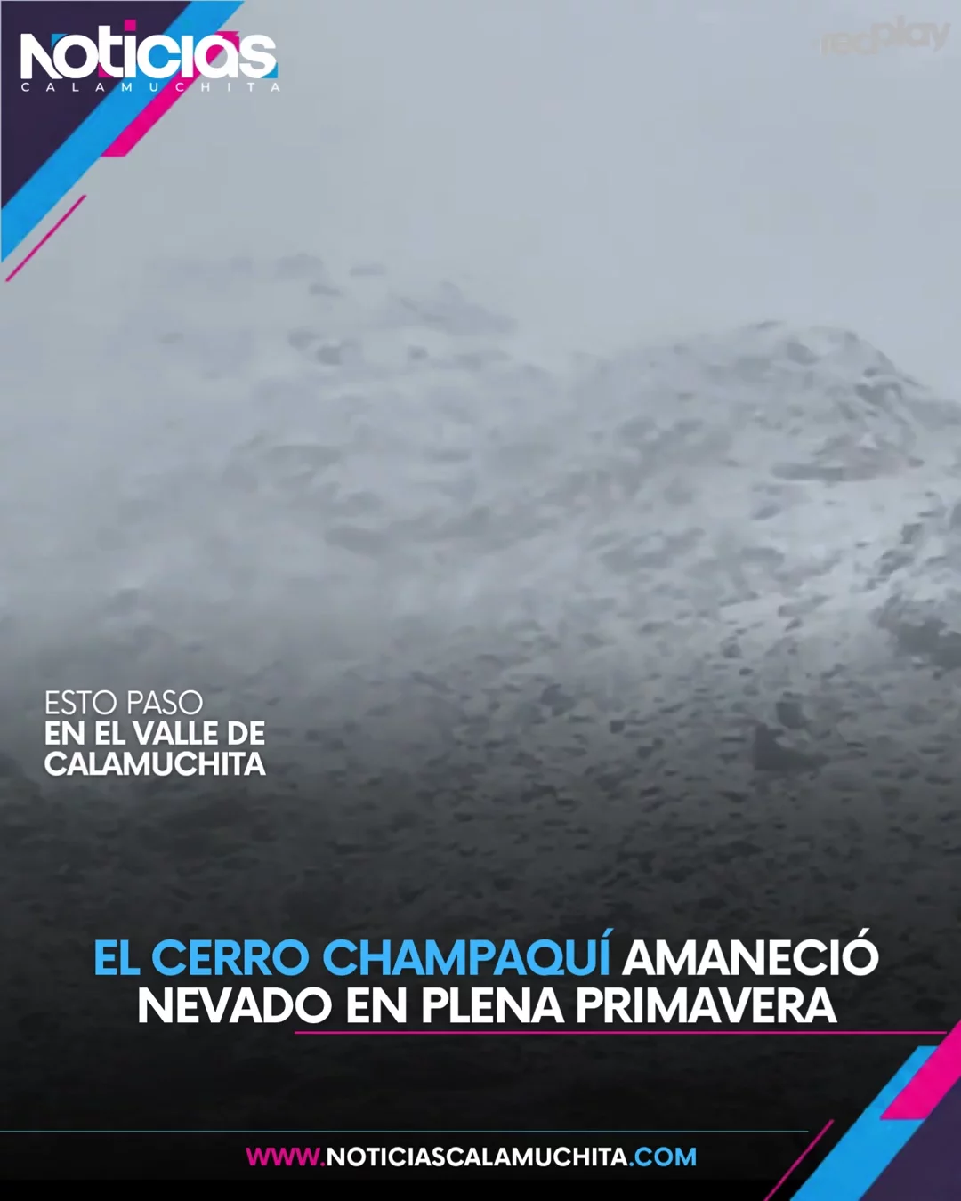 feed noticias