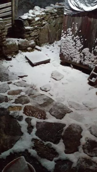 Imágenes gentileza de Puesto Tres Árboles 01