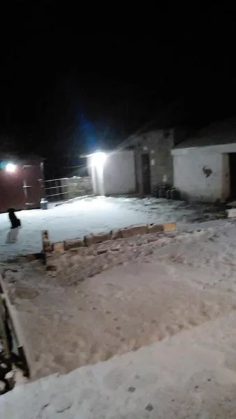 Imágenes gentileza de Puesto Tres Árboles