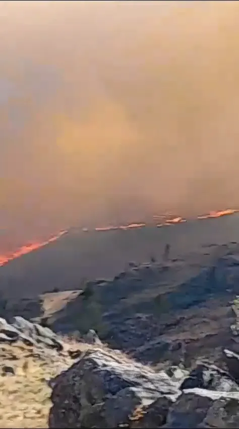 An8qEIpWkbkbCsvR51ep4OshCr9n7fPyvAyFpxMGJUjLse5iDB9NTxsQgqJg8NCfXrujePeZ4eDsYRBXOZjnsA