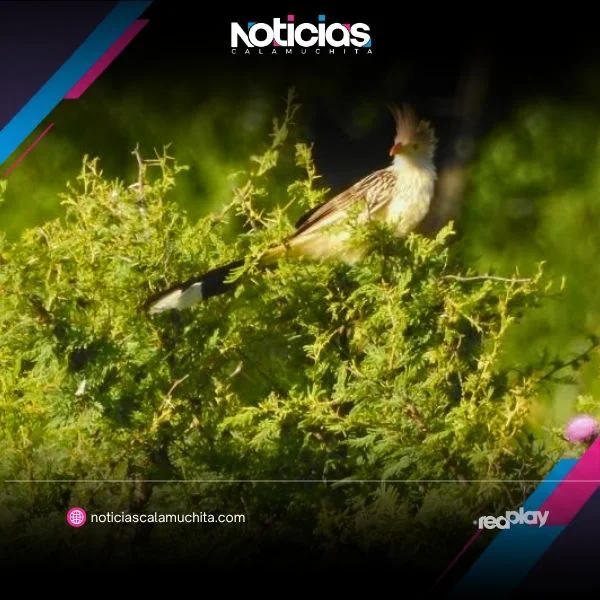Blurred background image (1)
