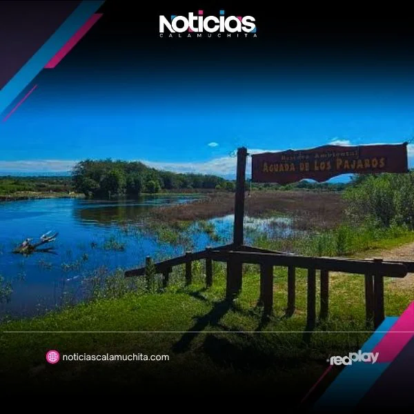 Blurred background image