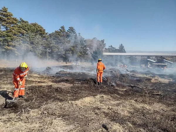 Bomberos Voluntarios en Incendio Sobre Ruta 5