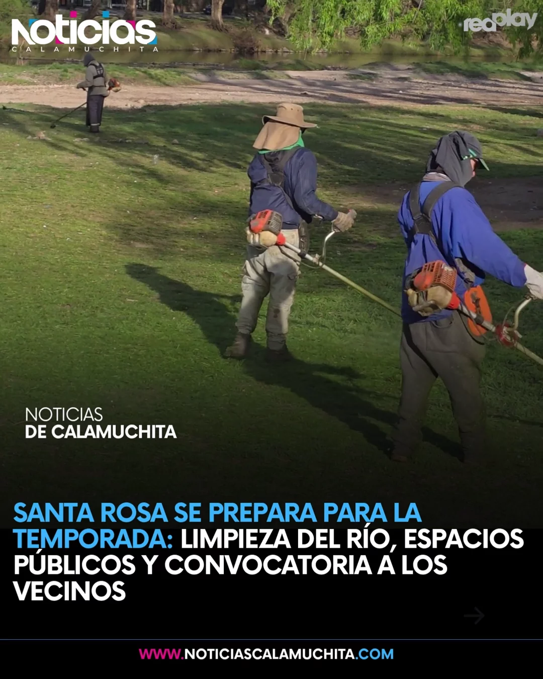 feed noticias