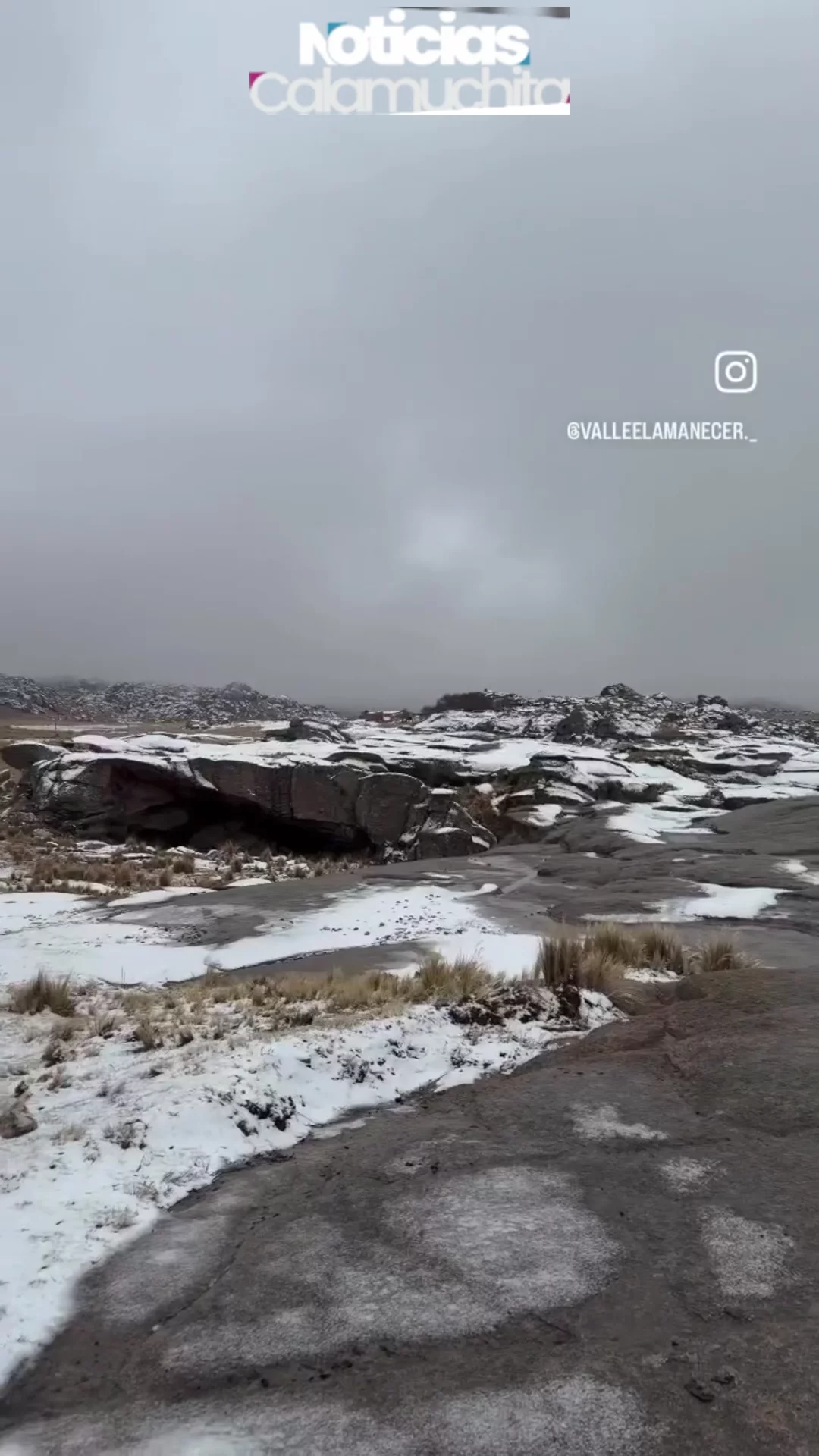 nieve cyhampa