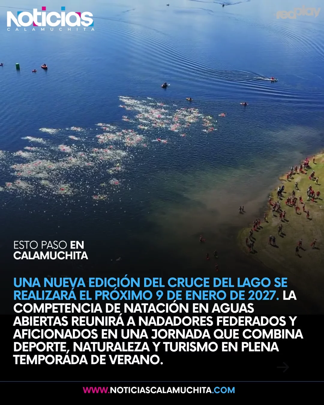 feed noticias