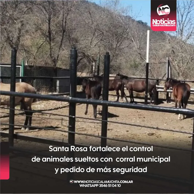 Santa Rosa fortalece el control de animales sueltos con nuevo corral municipal y pedido de más seguridad