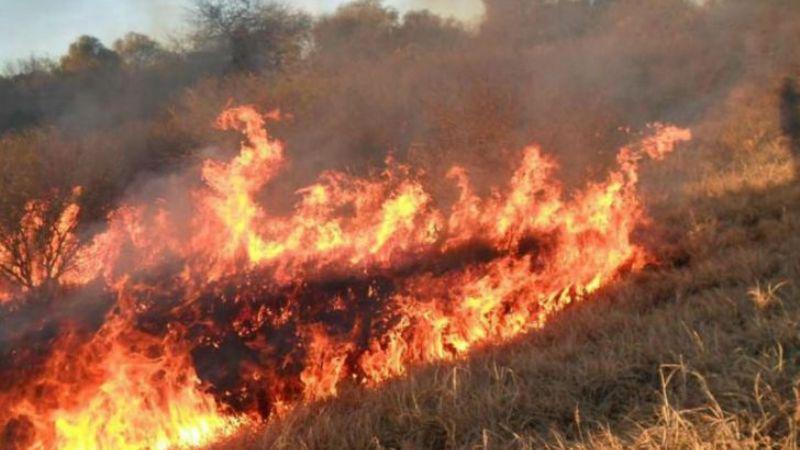Fuego en Pastizales