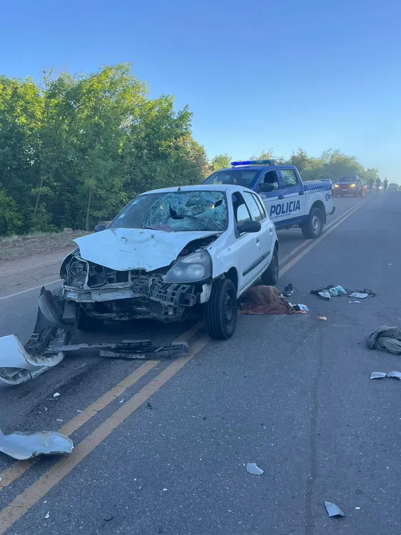 571120981_10241883606252551_1324505940287321888_n (1)