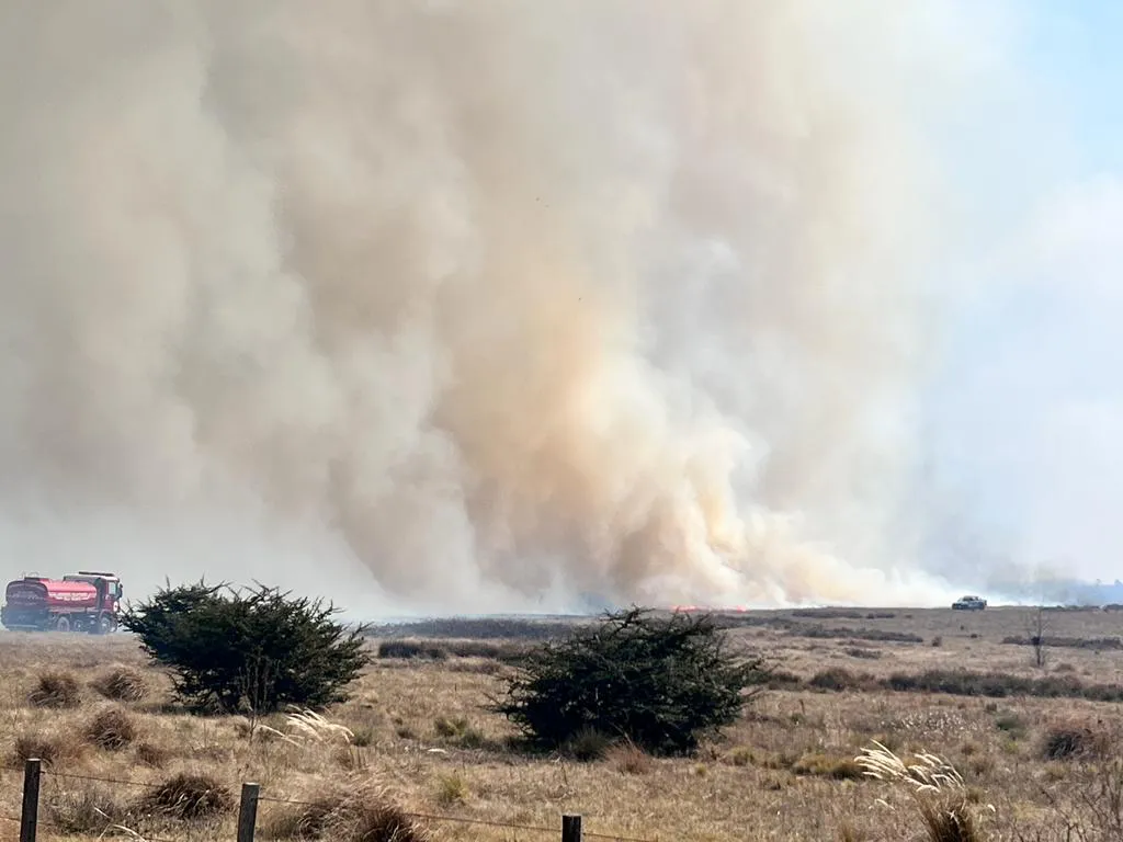 WhatsApp Image 2023-08-21 at 18.44.29