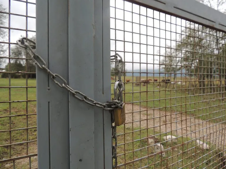 VGB-x-VGB-candado-768x576