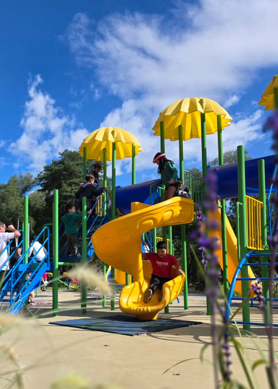 WhatsApp Image 2026-04-11 at 12.39.31 (2)