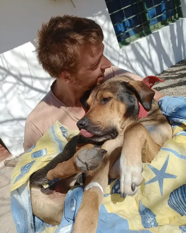 499805101_1136023991898461_6254976662734759385_n