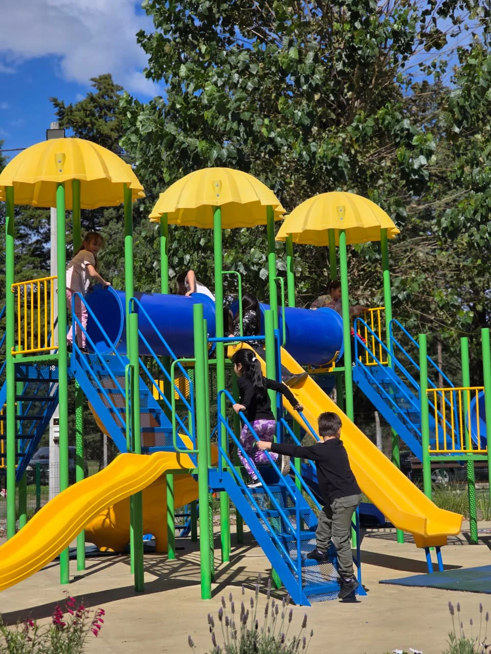 WhatsApp Image 2026-04-11 at 12.39.02