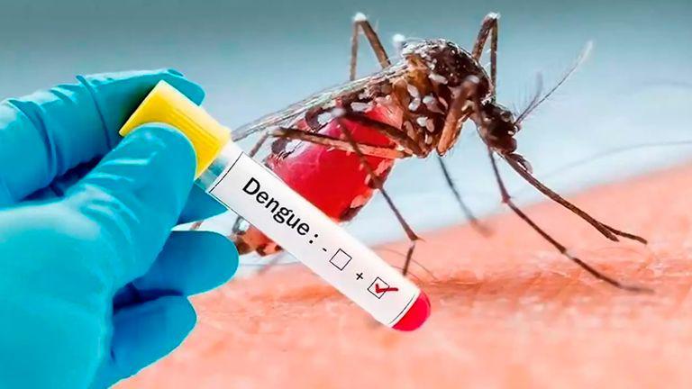 dengue