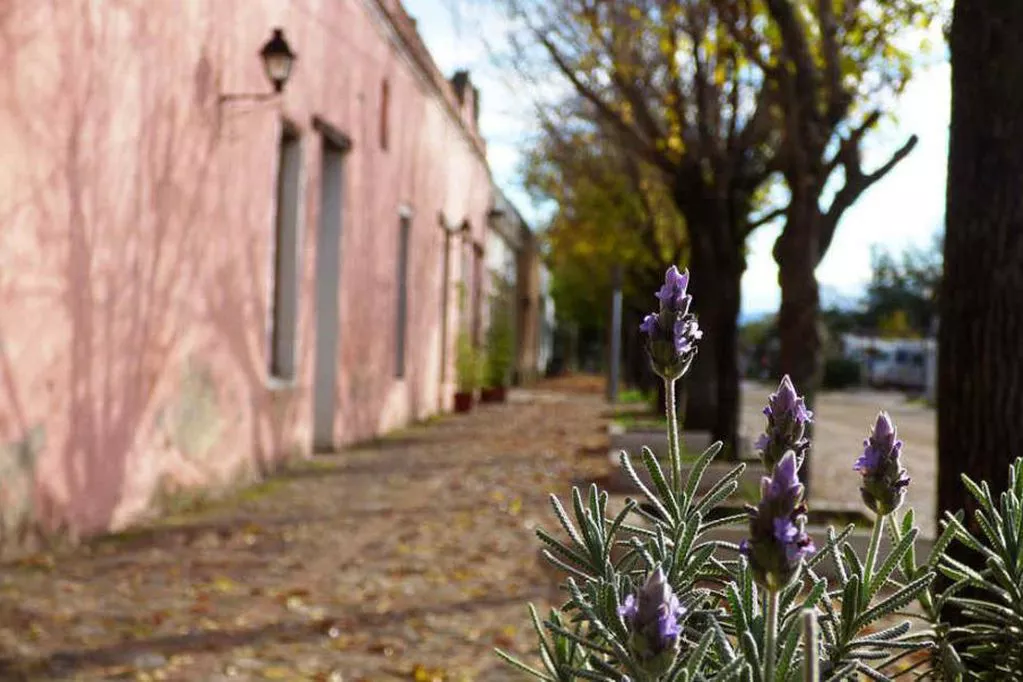 primavera en los reartes