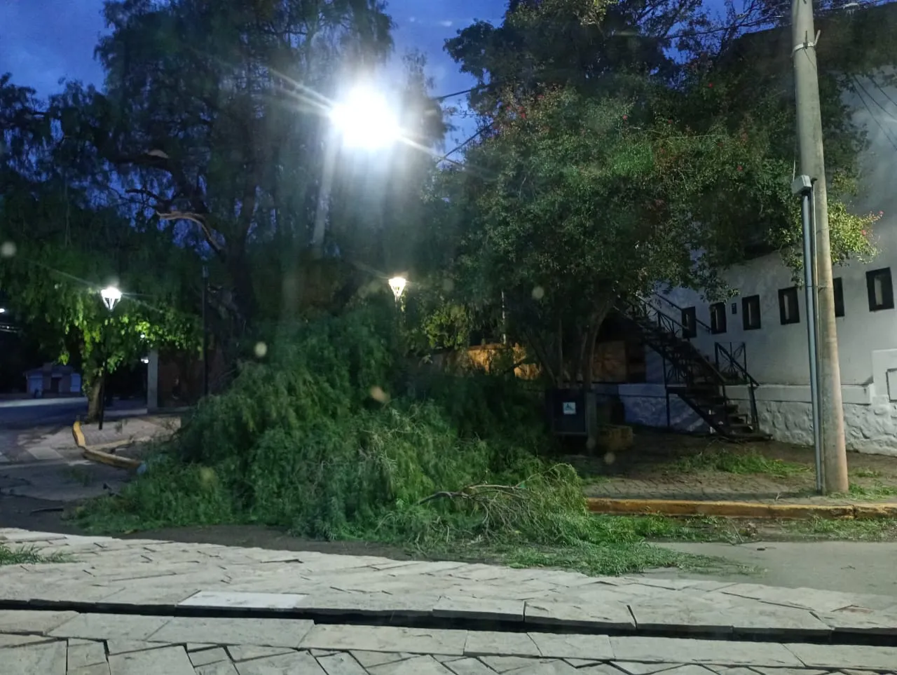 WhatsApp Image 2025-02-27 at 07.14.08 (1)