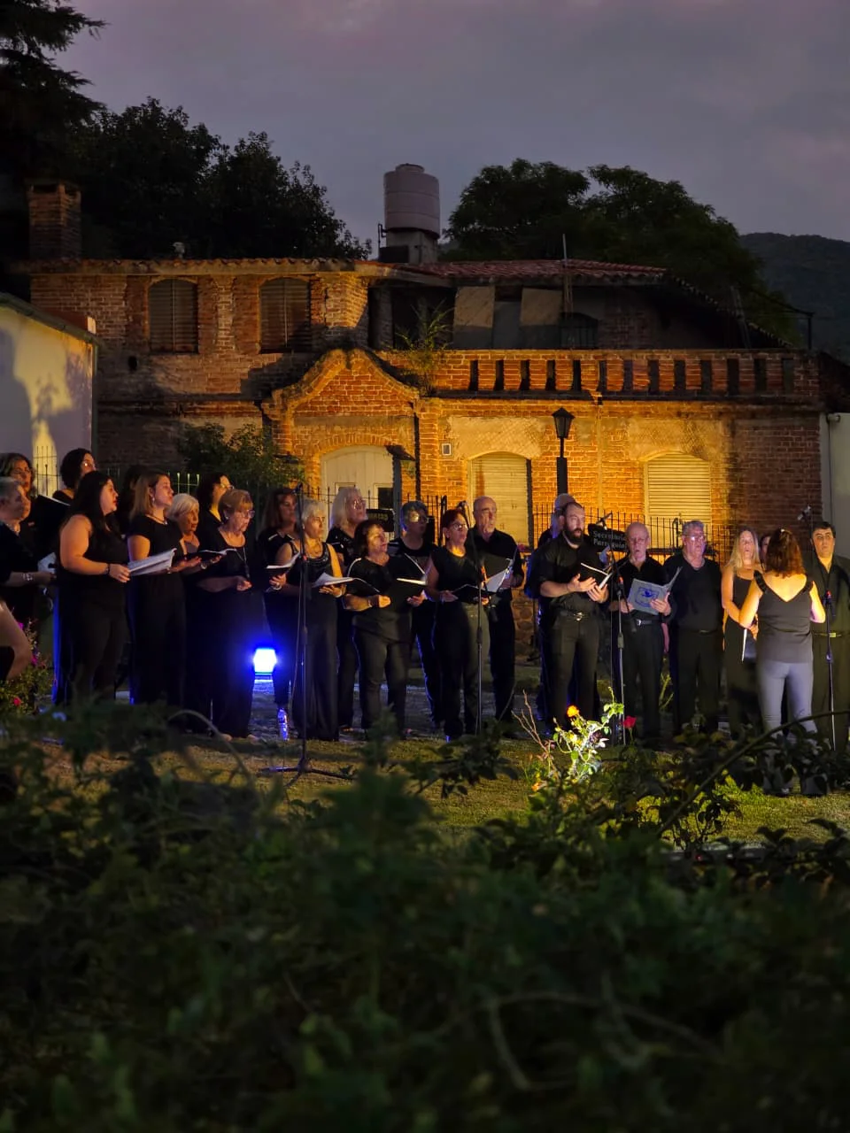 WhatsApp Image 2026-04-01 at 22.01.57