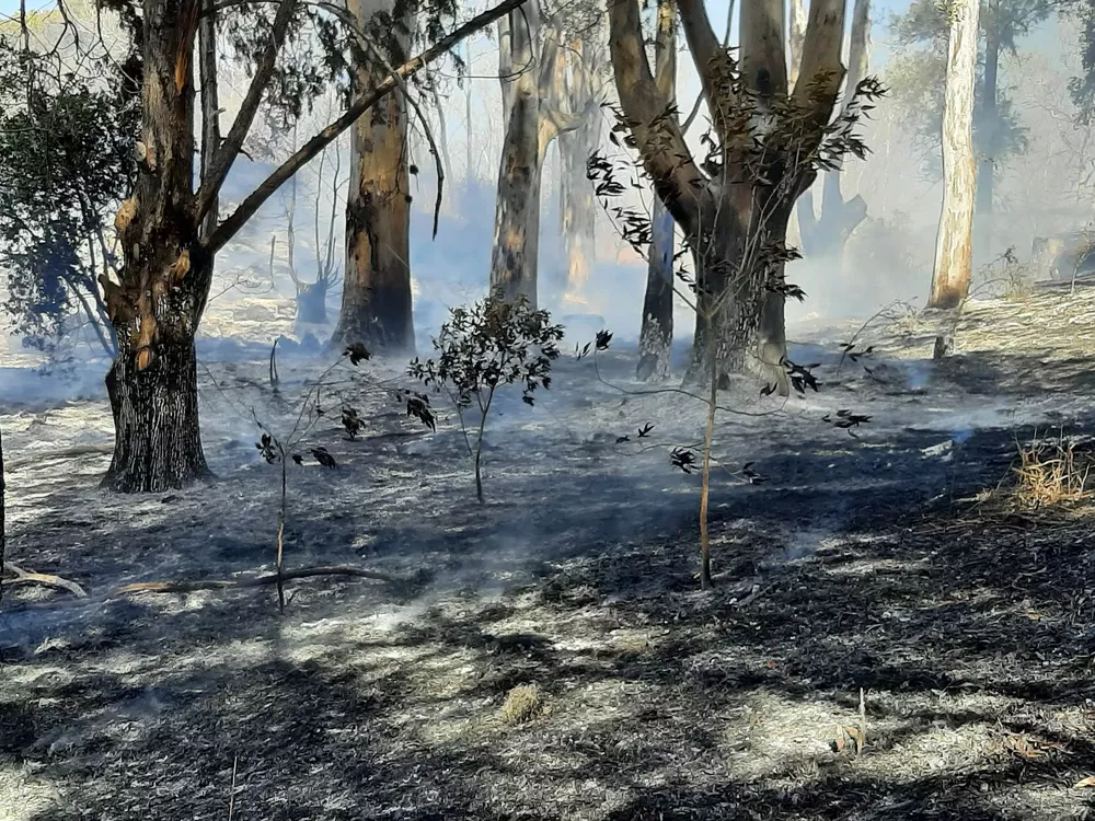 Incendio Central Nuclear