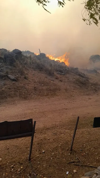 457846145_1856828728061327_867194891972740102_n