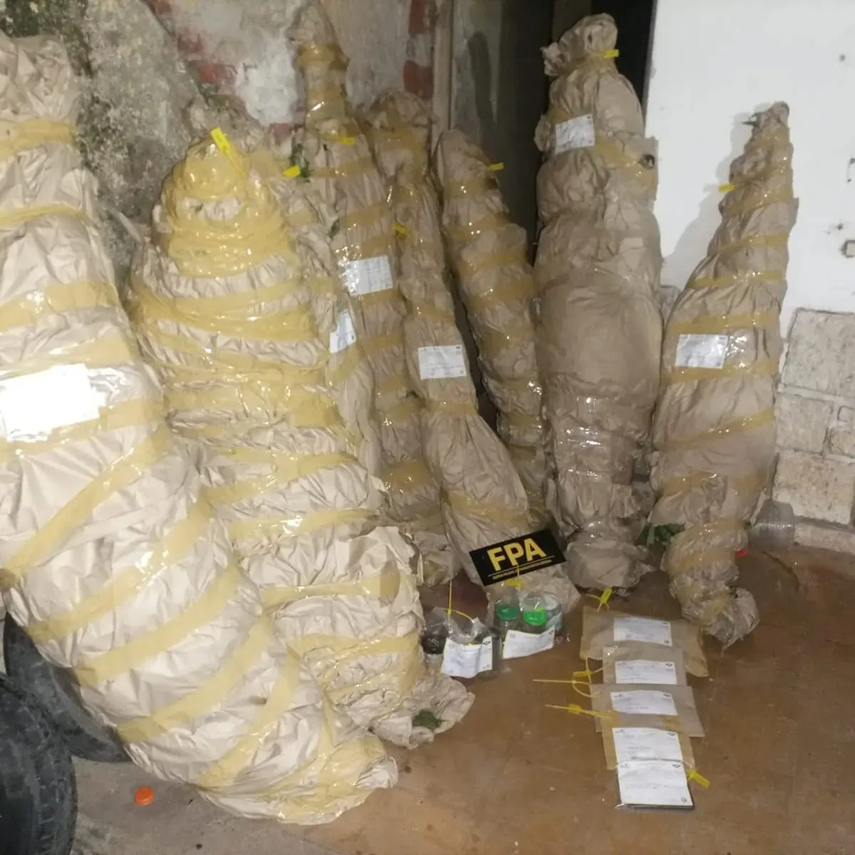 WhatsApp Image 2024-03-02 at 10.06.31 (1)