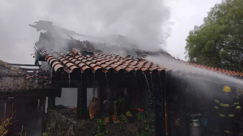 WhatsApp Image 2022-06-22 at 3.20.43 PM