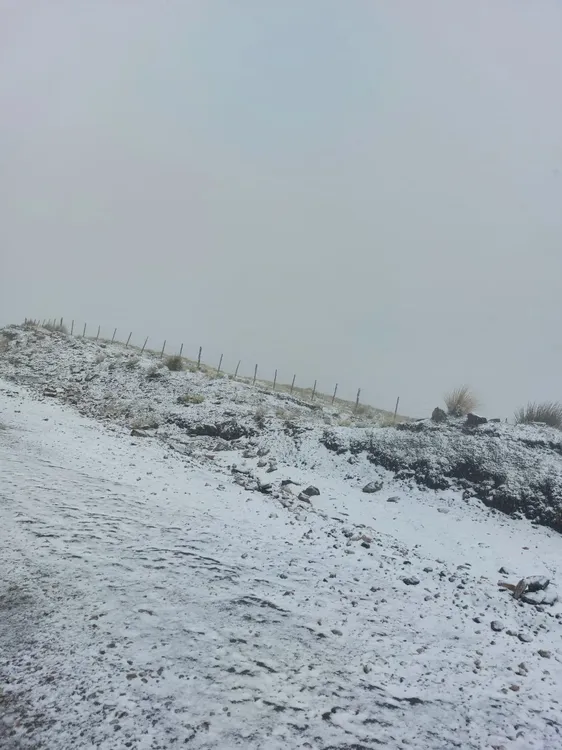 WhatsApp Image 2024-05-23 at 17.59.07