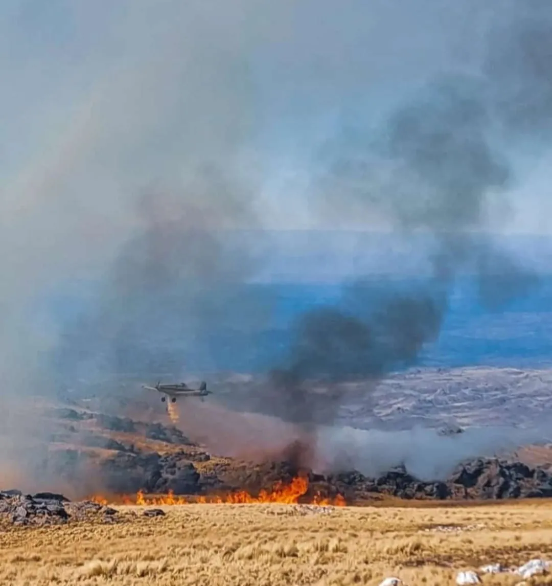 WhatsApp Image 2024-07-16 at 14.44.57 (1)