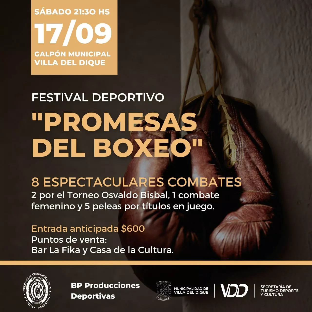 boxeo villa del dique