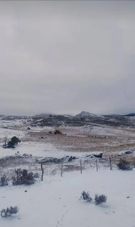 514274378_2928379497370644_8307954812788291076_n