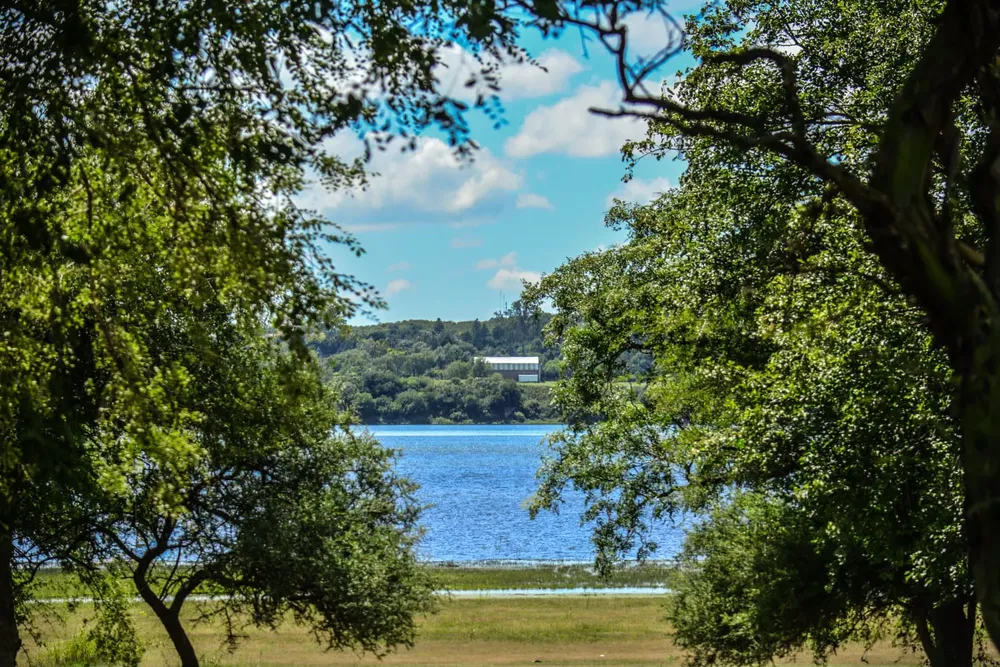 WhatsApp Image 2025-06-20 at 1.04.35 PM