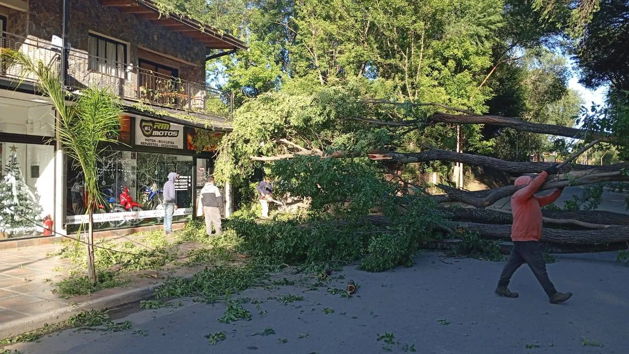 600975222_10242660194626775_4335751358451387617_n