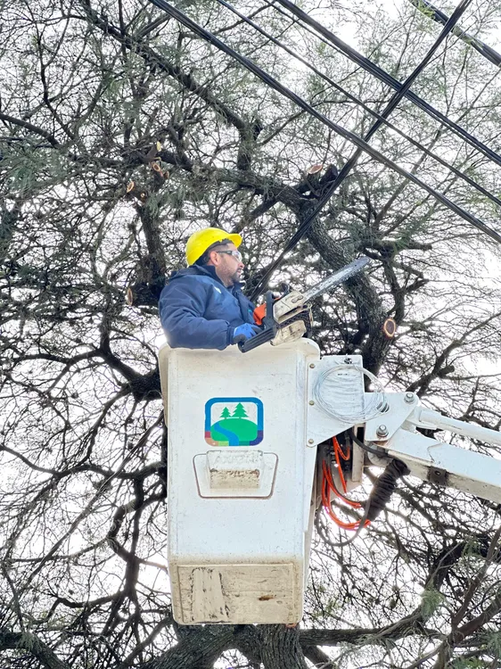 WhatsApp Image 2025-05-21 at 11.47.45 AM