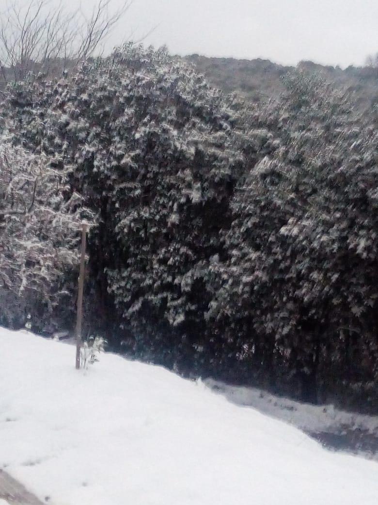 Nevada en Calamuchita 18