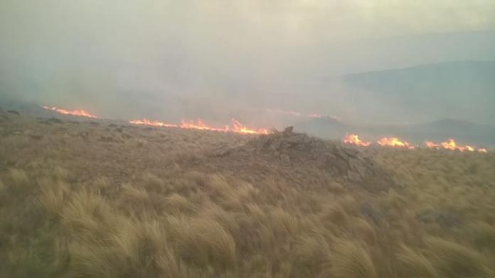 incendio alpa corral 2