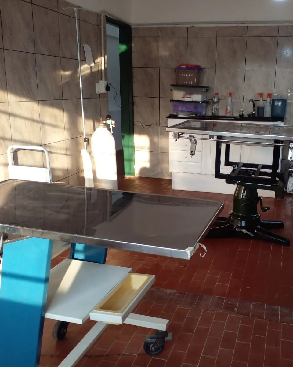 495664060_1136023491898511_8087191054251349243_n