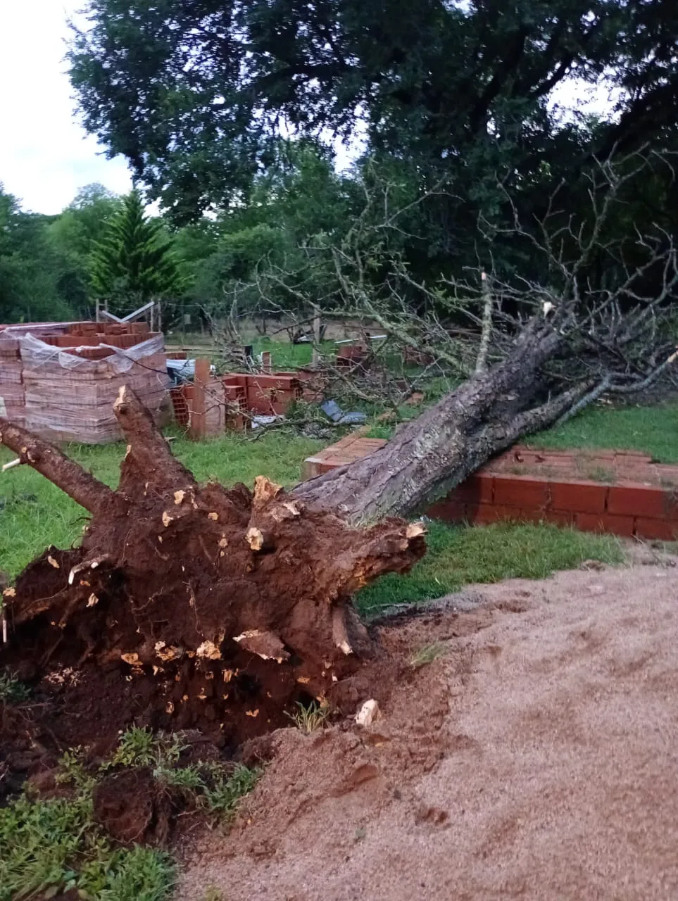 WhatsApp Image 2025-02-27 at 07.14.05