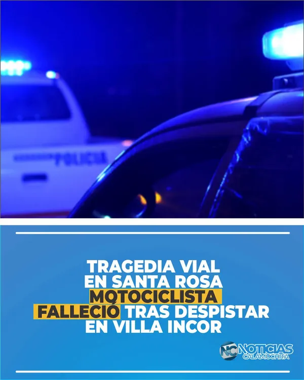 0310 01 feed