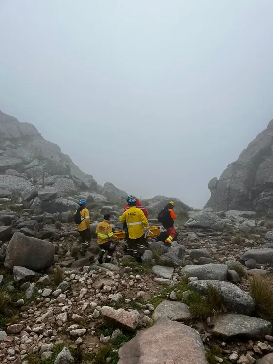 WhatsApp Image 2026-04-03 at 12.52.31