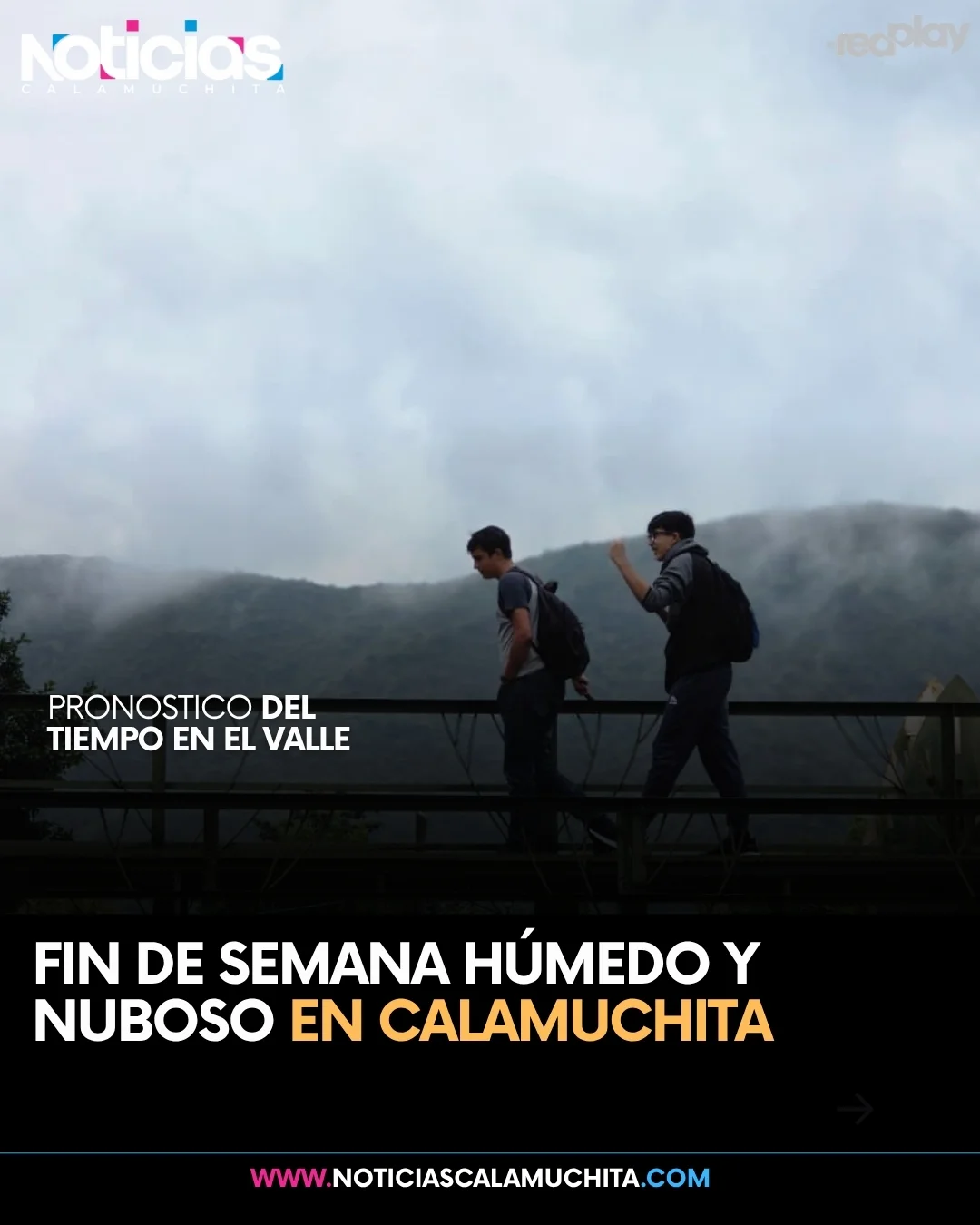 feed noticias