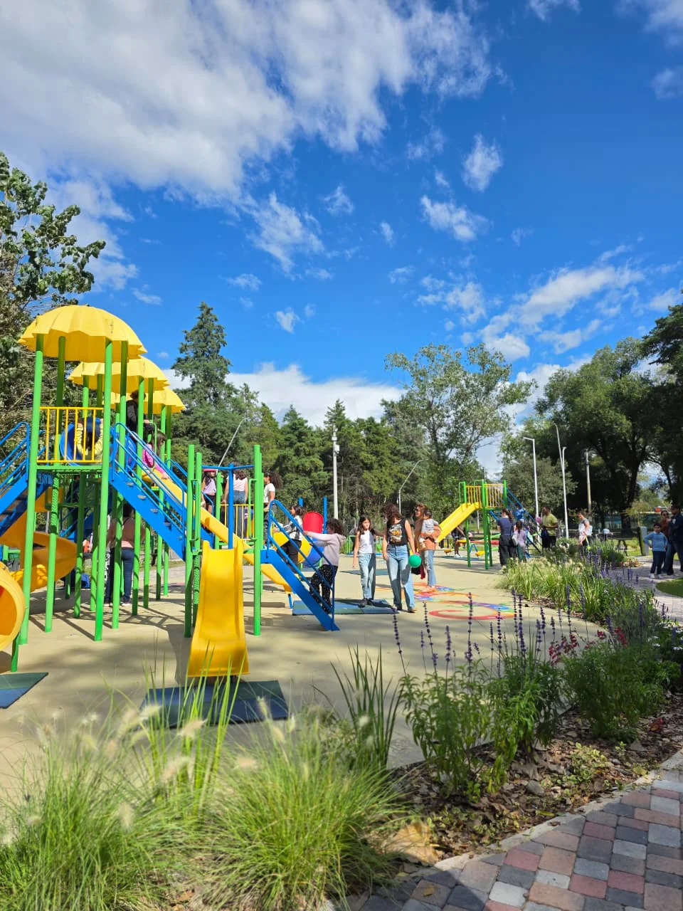 WhatsApp Image 2026-04-11 at 12.39.25 (1)