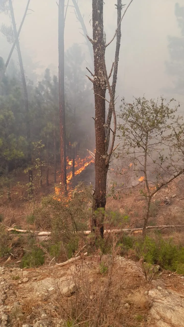 457822013_1856828431394690_6586149279593485540_n