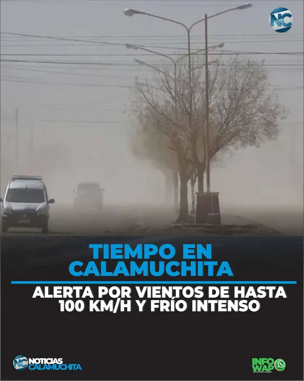 210625 01 FEED
