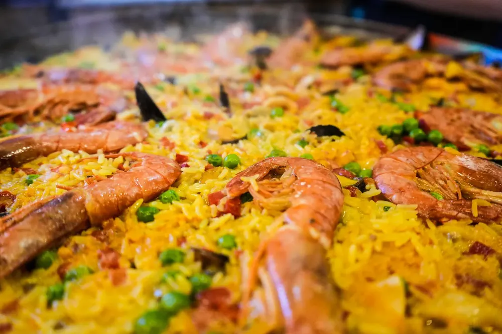 WhatsApp Image 2024-03-30 at 12.49.54 AM (1)