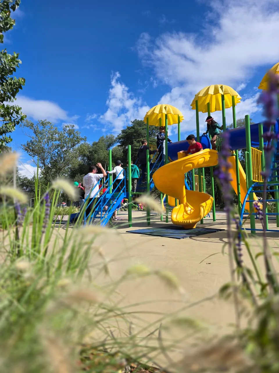 WhatsApp Image 2026-04-11 at 12.39.32