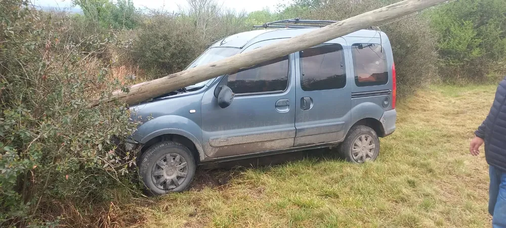 462456849_10236201403921044_6784450076549656075_n